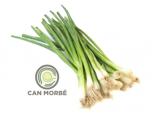 SOFRITO – CAN MORBÉ
